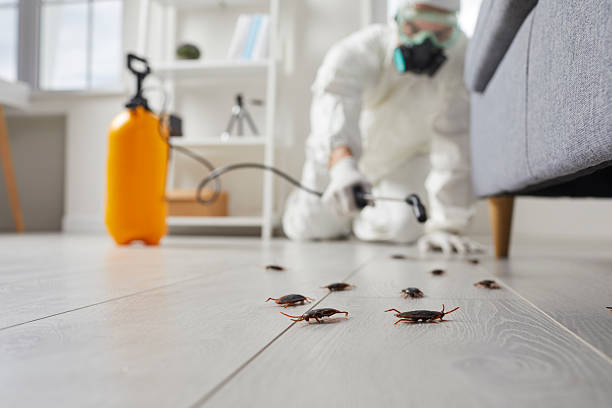Commercial Kitchen Cockroach Control in Nashotah